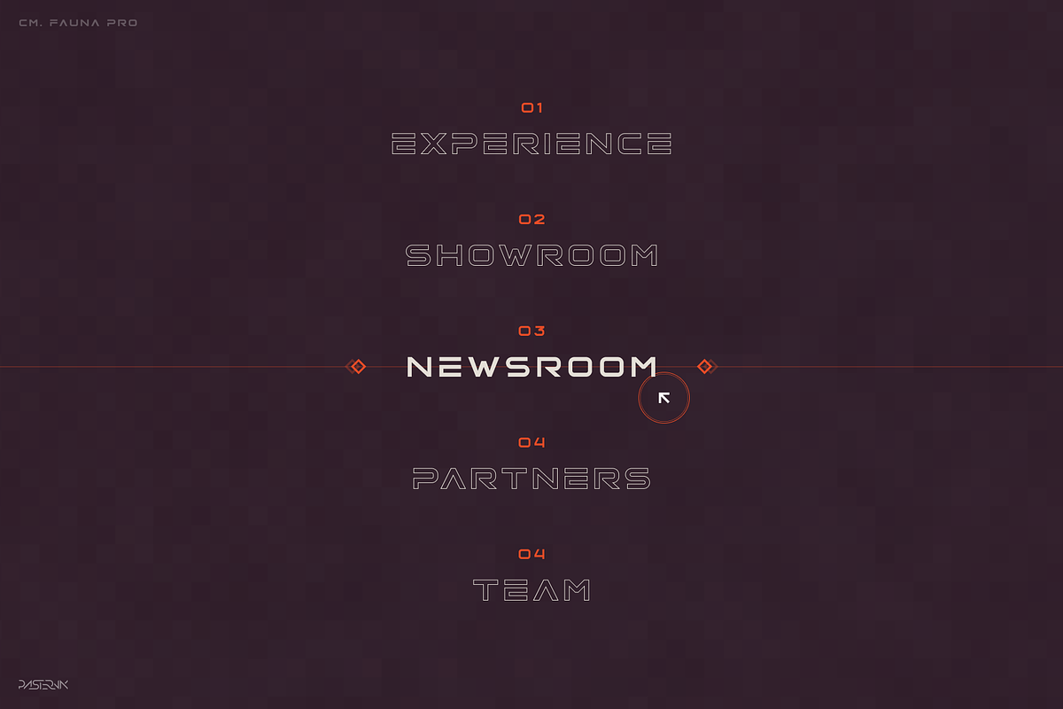 Fauna Pro, a Sans Serif Font by Pasternak Fonts (Photo 3 of 7)