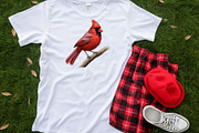 Red Cardinal PNG Christmas Bundle, an Illustration by Moon Studio (Thumbnail 7 of 11)