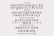 Employed - A Display Serif Font, a Serif Font by Prioritype Co (Thumbnail 10 of 11)