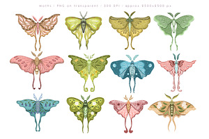 Luna Moth Clipart & Pattern