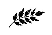 Botanical Leaf Silhouette Bundle, an Illustration by yasushie (Thumbnail 12 of 51)