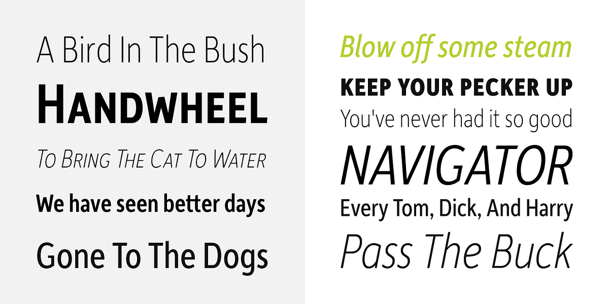 Depot New Condensed, a Sans Serif Font by Moretype (Photo 3 of 5)