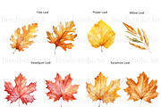 Fall Leaves Clipart, Autumn Leaf PNG, a Decorative Illustration by BrushstrokeArtGB (Thumbnail 4 of 9)