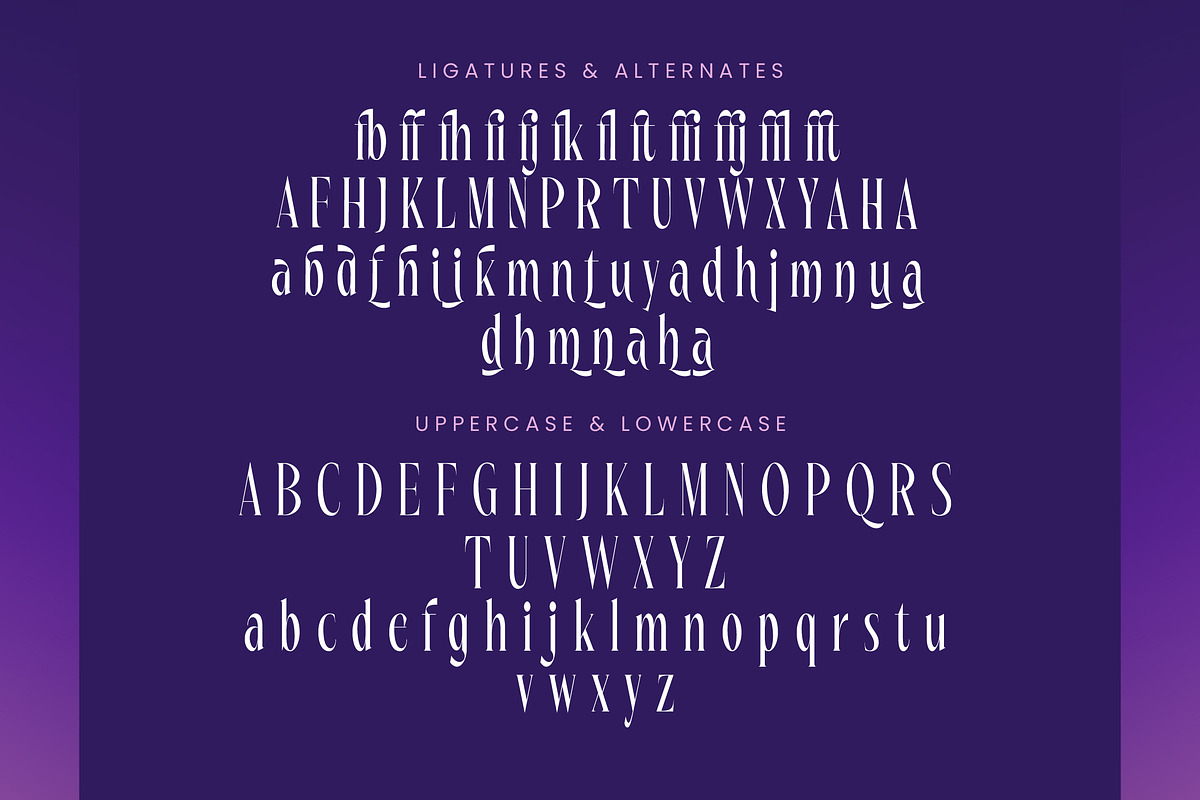 Wharfkin Frostfire Modern Serif Dont, a Serif Font by timelesstype.co (Photo 18 of 20)