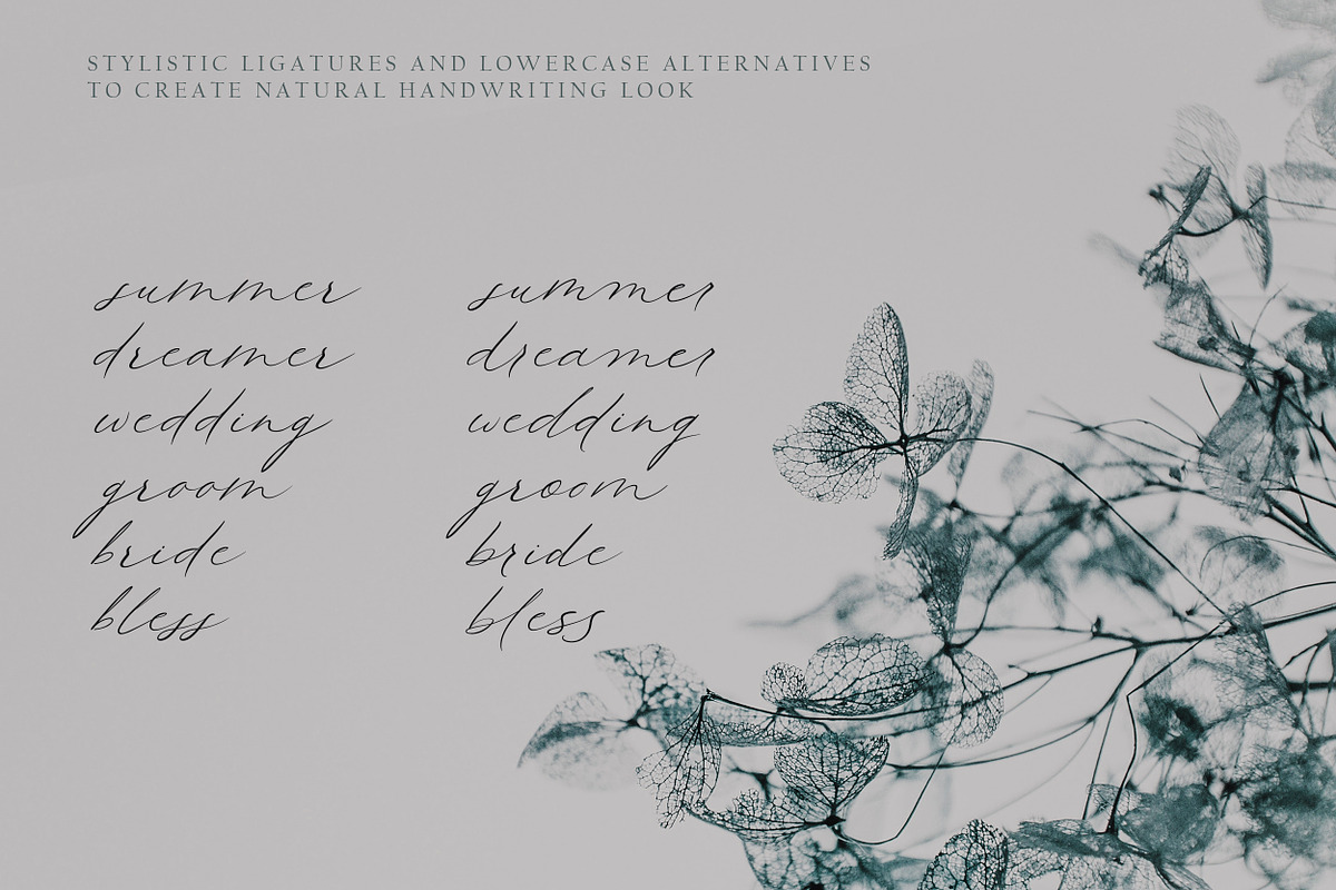 Queenly. Handwritten Font, a Script Font by AnMark (Photo 14 of 15)