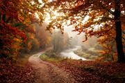 Peaceful Autumn Nature Wallpaper, a Wallpaper Photo by nandinigraphics (Thumbnail 3 of 3)