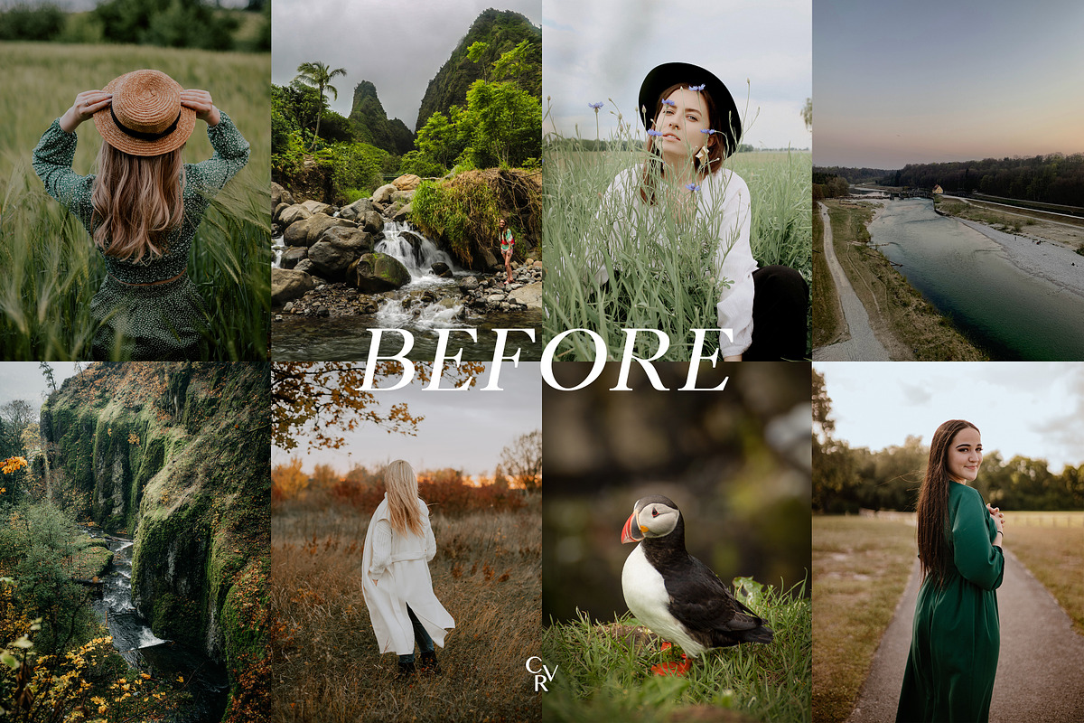 10 Deep Green Lightroom Presets, a Preset Add-On by CVR Presets (Photo 2 of 7)