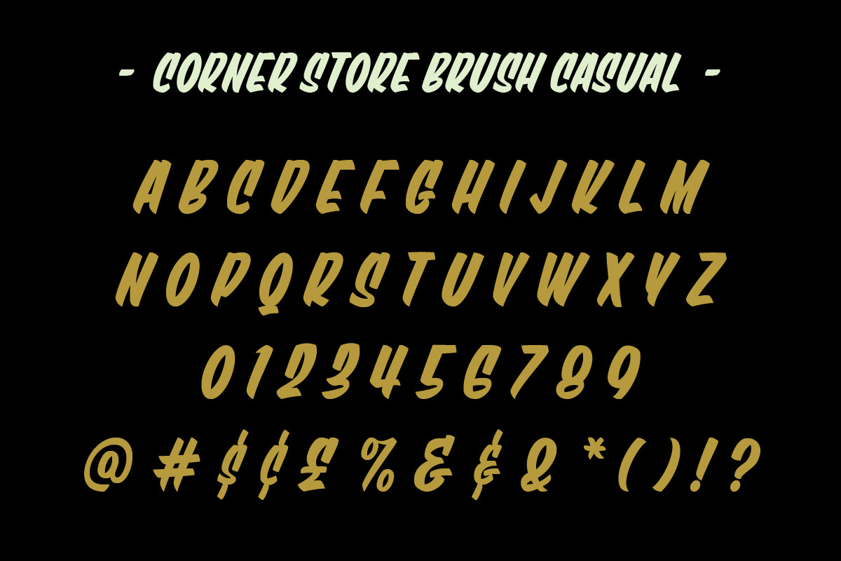 Corner Store Casual Brush Script, a Script Font by Price Foundry (Photo 3 of 24)