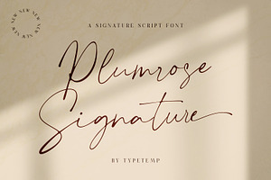 Plumrose Signature Script Font