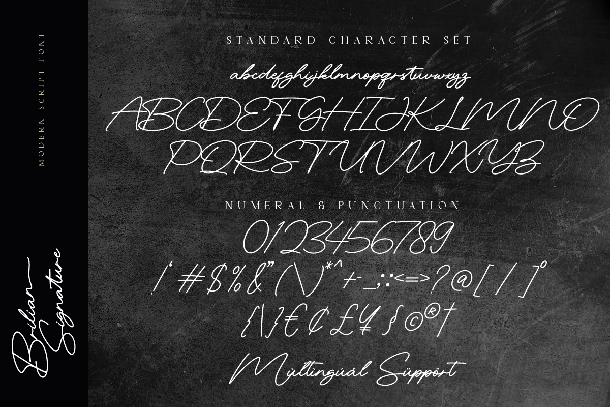Brilian Signature Monoline Font, a Script Font by Ronny Studio (Photo 8 of 9)