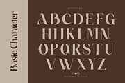 Acollia, a Serif Font by saemoon creative (Thumbnail 4 of 13)