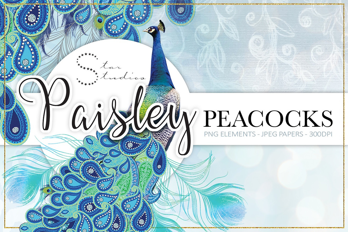 Paisley Peacocks Pack, an Illustration by Dana Designs (Photo 1 of 5)