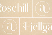Muteds Starlit Modern Serif Font, a Sans Serif Font by timelesstype.co (Thumbnail 2 of 20)