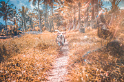 Fall Presets 2019 - Lightroom Preset, an Action Add-On by Maple Visuals (Thumbnail 10 of 10)