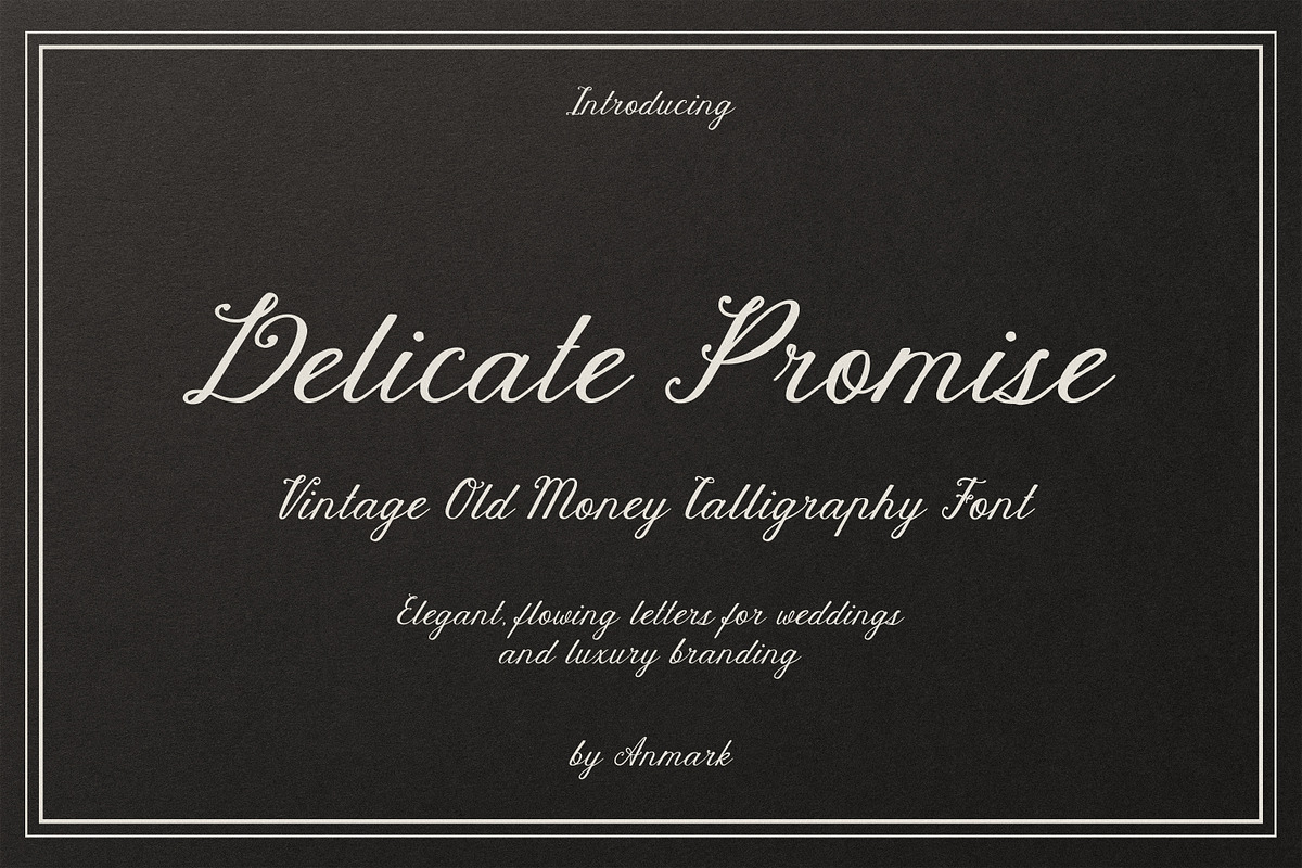 Delicate Promise | Vintage Script, a Script Font by AnMark (Photo 1 of 18)