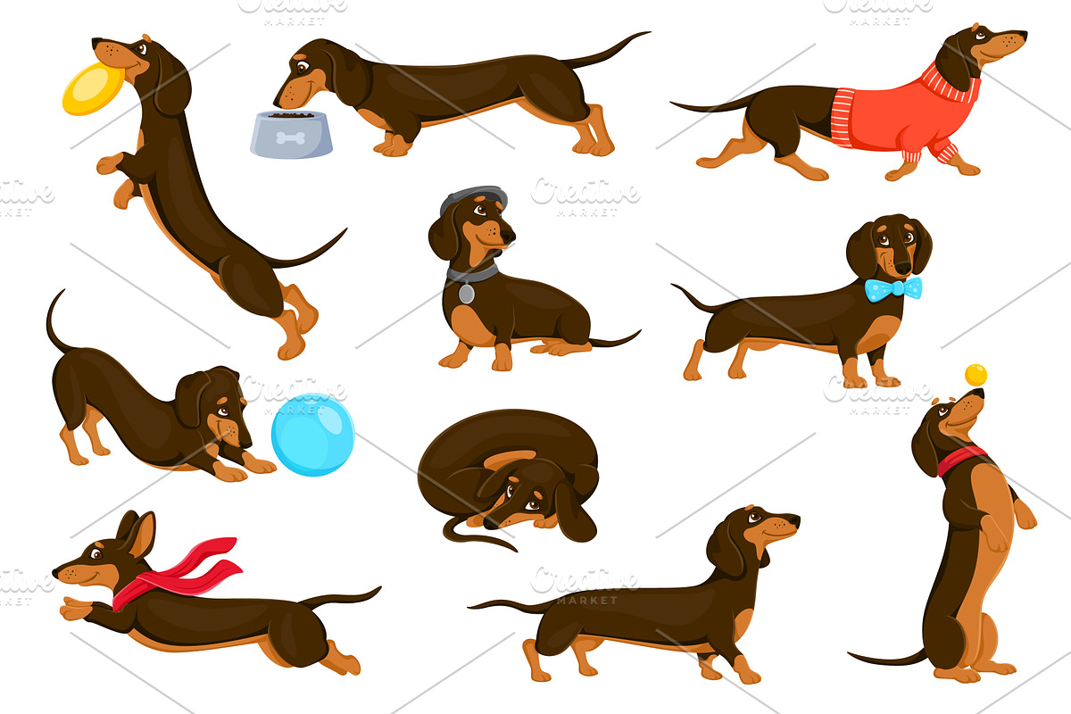 Cartoon dachshund dog puppy, an Animal Illustration by Buch&Bee