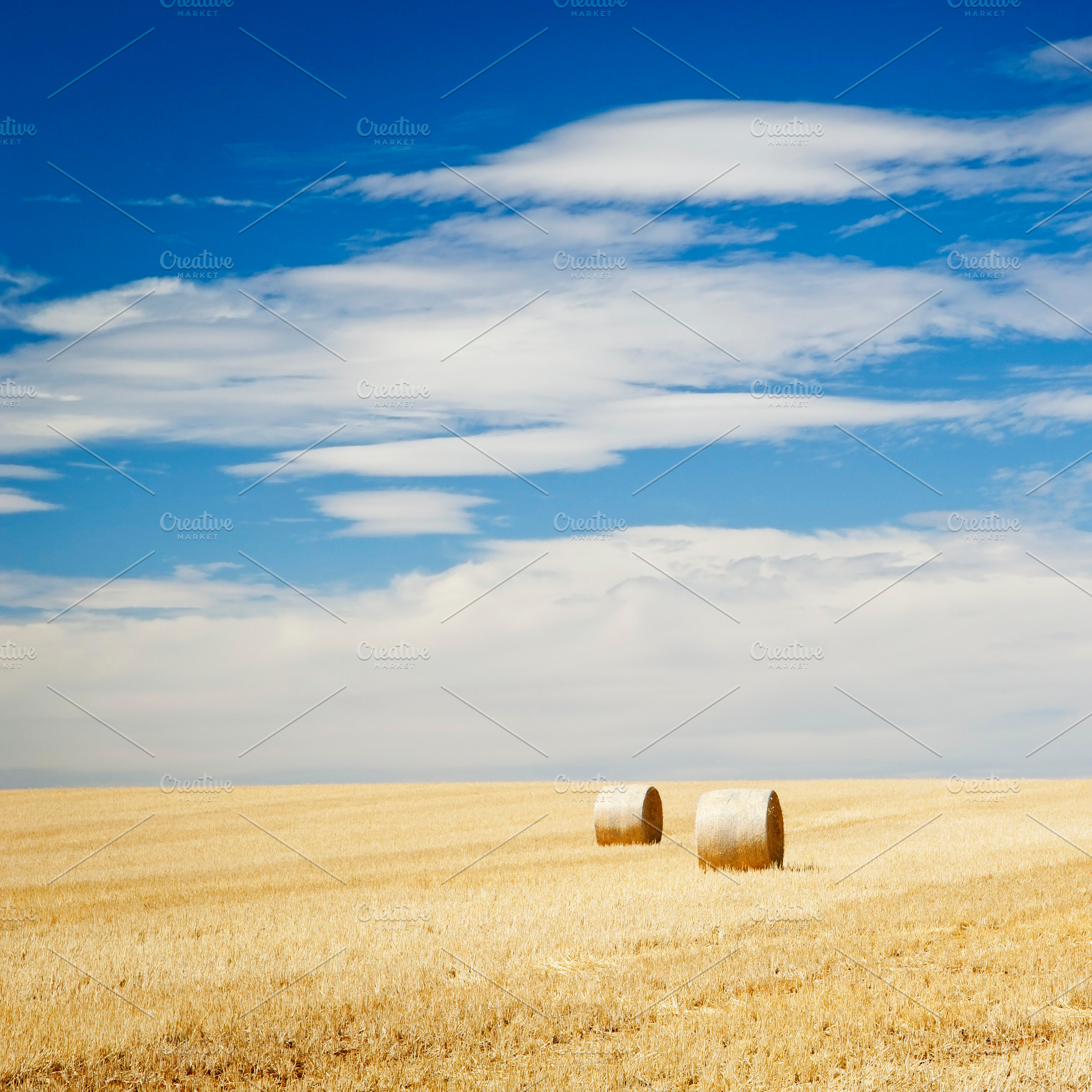 Hay Bales In Field, a Nature Photo by THP Creative