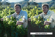 20 Farm to Table Lightroom Presets, a Preset Add-On by SparkleStock (Thumbnail 7 of 11)