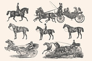 Horses - Vintage Illustration Set, an Illustration by Graphic Goods (Thumbnail 12 of 12)