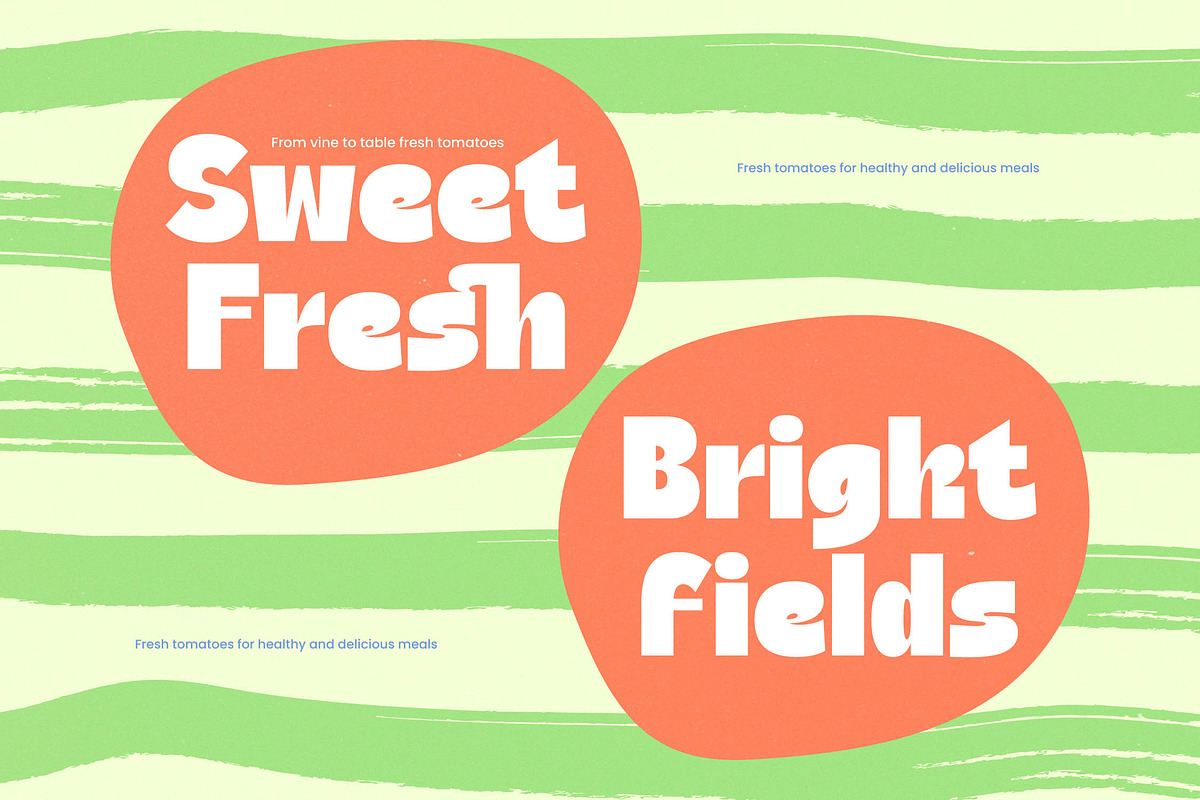 Natural Sage Retro Display Font, a Sans Serif Font by timelesstype.co (Photo 10 of 20)