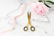 Stock Photo Bundle - Light Pink, a Background Photo by Savvy Stock Shop (Thumbnail 10 of 11)