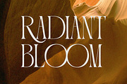 Portiso - Modern Luxury Serif, a Serif Font by Qweera Studio (Thumbnail 4 of 12)