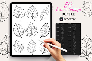 50 Leaves Procreate Stamps