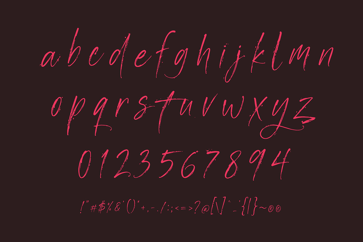 Manstera Leviosa - Expressive Script, a Script Font by HypeWorksCo (Photo 15 of 15)