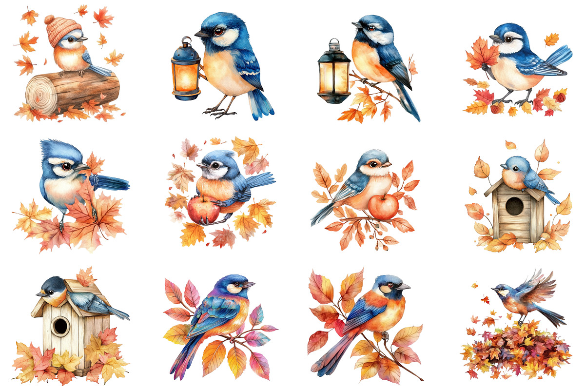 Cute Autumn Jay Sublimation Clipart, an Illustration by CitraGraphics (Photo 3 of 6)