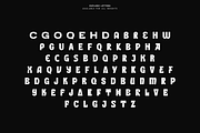 Everplay – Modern Display Typeface, a Serif Font by VP Fonts (Thumbnail 14 of 37)