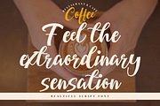 Bellarin, a Script Font by Integritype Studio (Thumbnail 3 of 16)