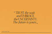 NOIR et BLANC Stylish Serif, a Serif Font by Nicky Laatz (Thumbnail 29 of 41)