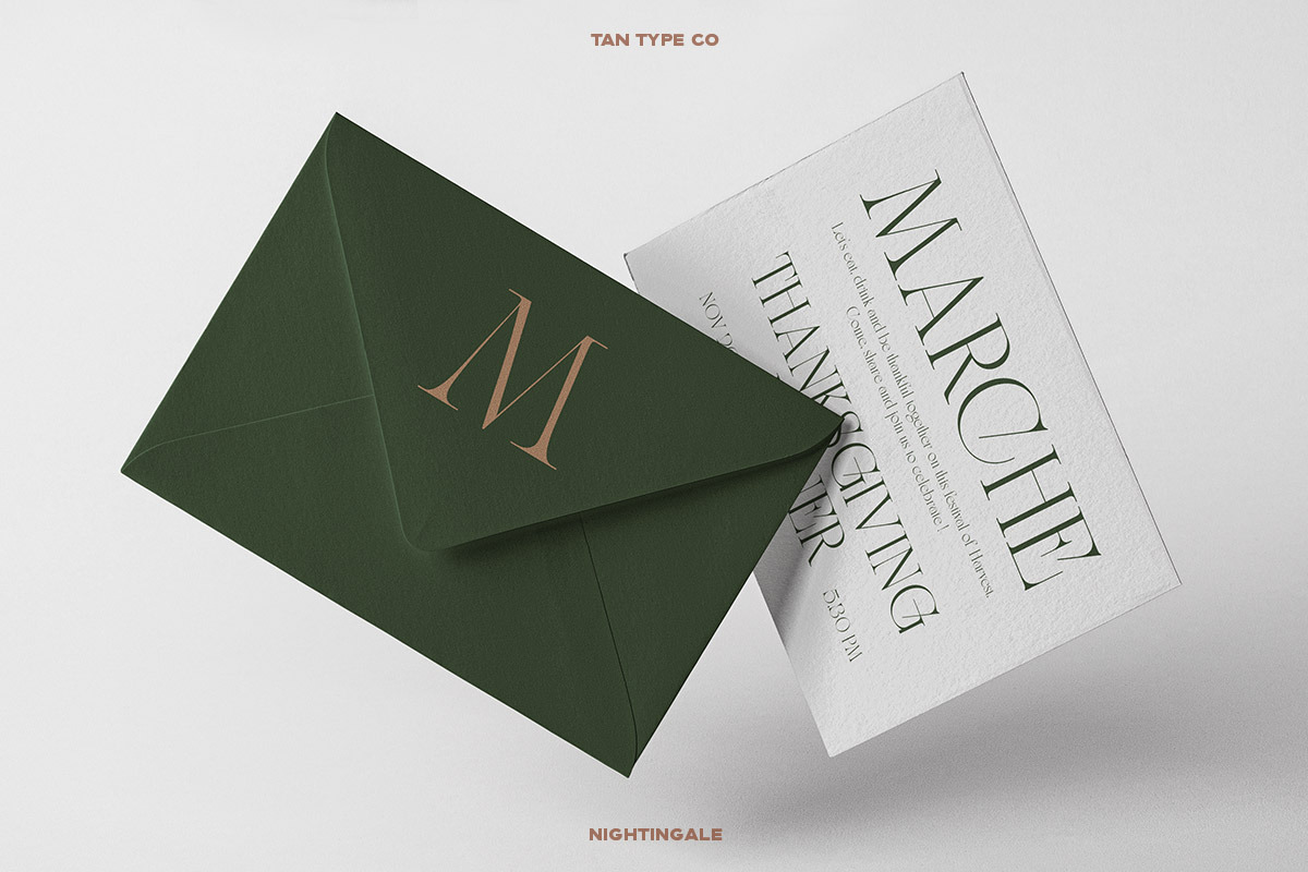 TAN - NIGHTINGALE, a Serif Font by TanType (Photo 14 of 15)