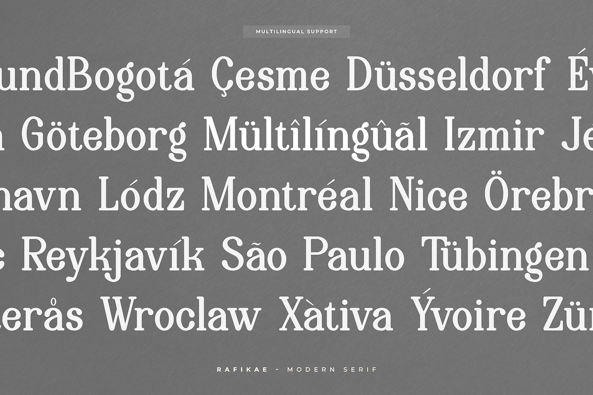 Rafikae | Modern Serif Font, a Serif Font by Denustudios (Photo 12 of 13)