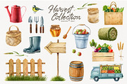 Watercolor harvest collection, a Decorative Illustration by Natalia Fedorova (Thumbnail 3 of 9)