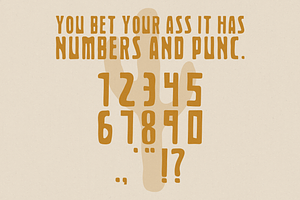 Pioneer Typeface