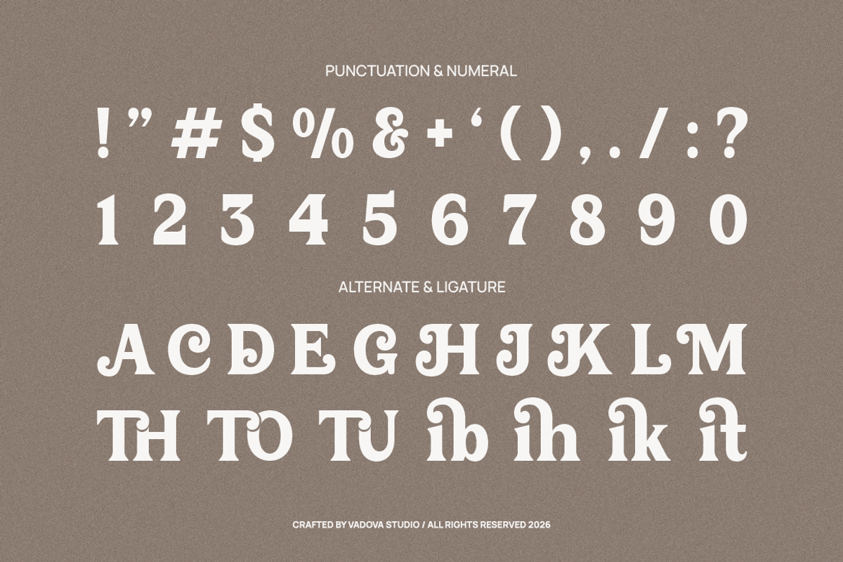Corviane Bold Serif Font, a Serif Font by Vadovastd (Photo 4 of 8)