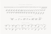 Adore Calligraphy Font, a Script Font by The Styled Script (Thumbnail 6 of 12)