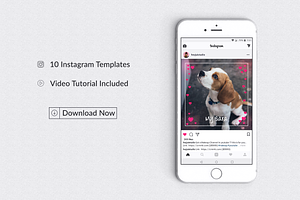 Pets Instagram Templates