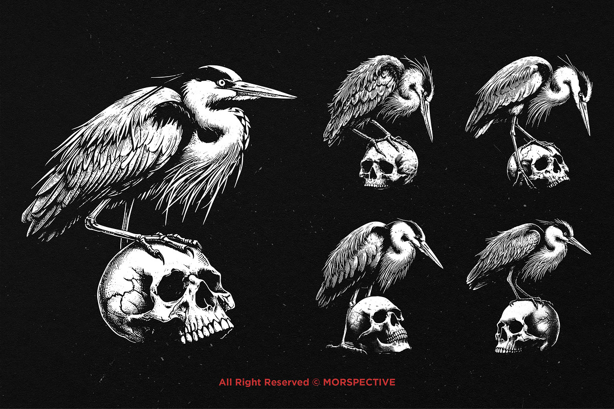10 Bundle Dark Art Heron Bird Skull, an Illustration by Morspective (Photo 5 of 7)