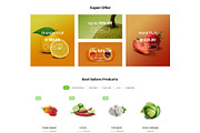 Food Fruit - Organic WooCommerce, a WordPress Template by Panda Theme (Thumbnail 2 of 6)