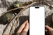 Xmas Device Mockup Phone ch4, an iPhone Mockup by PawMockups (Thumbnail 4 of 10)