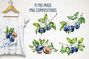 Blooming plum watercolor clipart, a Decorative Illustration by Eva Kleinman (Thumbnail 4 of 14)