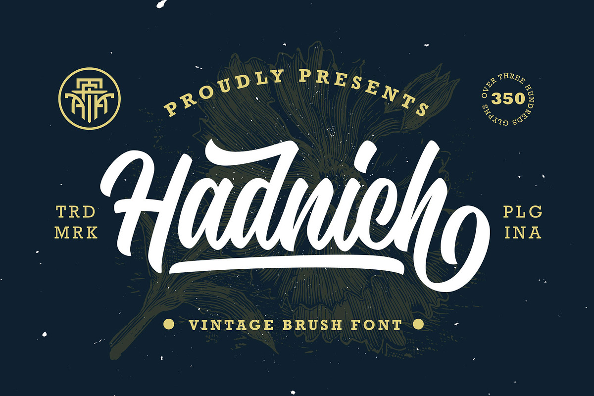 Hadnich - Modern Script, a Script Font by Arterfak Project (Photo 1 of 16)