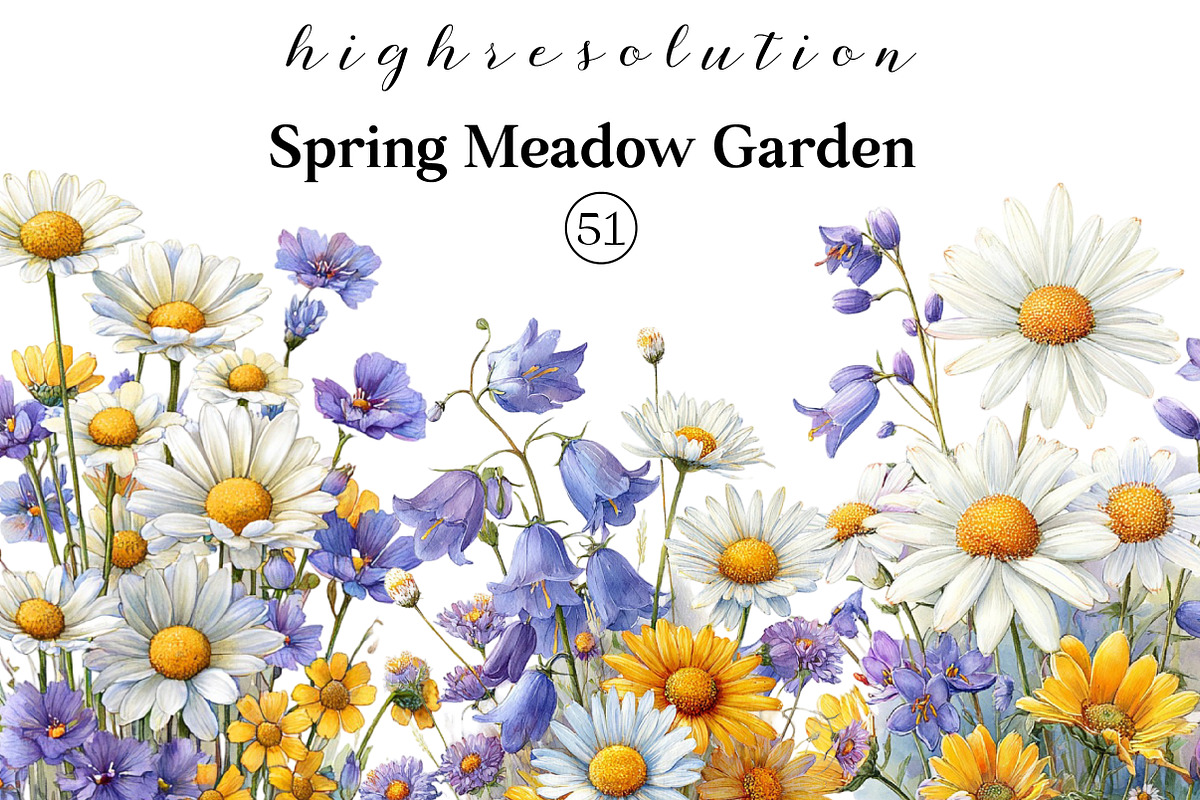 Watercolor Meadow Flowers Clipart, an Illustration by DreamCafeArt (Photo 1 of 8)