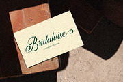 Anatomical - Elegant Script Font, a Script Font by Arendxstudio (Thumbnail 7 of 8)