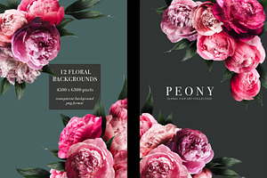 Peony Floral Clip Art