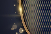 Luxury Golden Shield With Metal Mesh, a Decorative Illustration by Black White Mouse Design (Thumbnail 2 of 3)