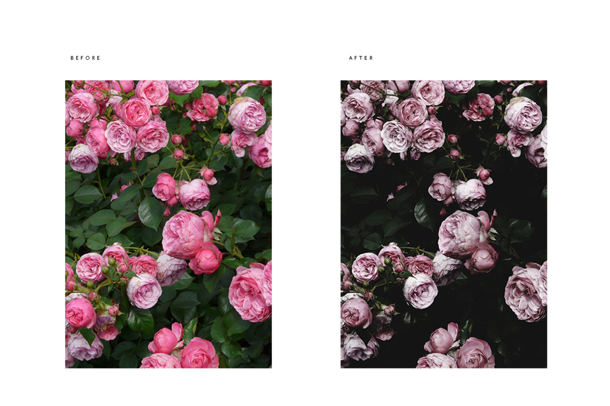 Modern Moody Photoshop Actions, an Action Add-On by Foto Rx Co. (Photo 5 of 9)