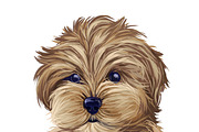 Dogs Most Popular in World,  510 Pet, an Illustration by Dneprstock (Thumbnail 3 of 5)